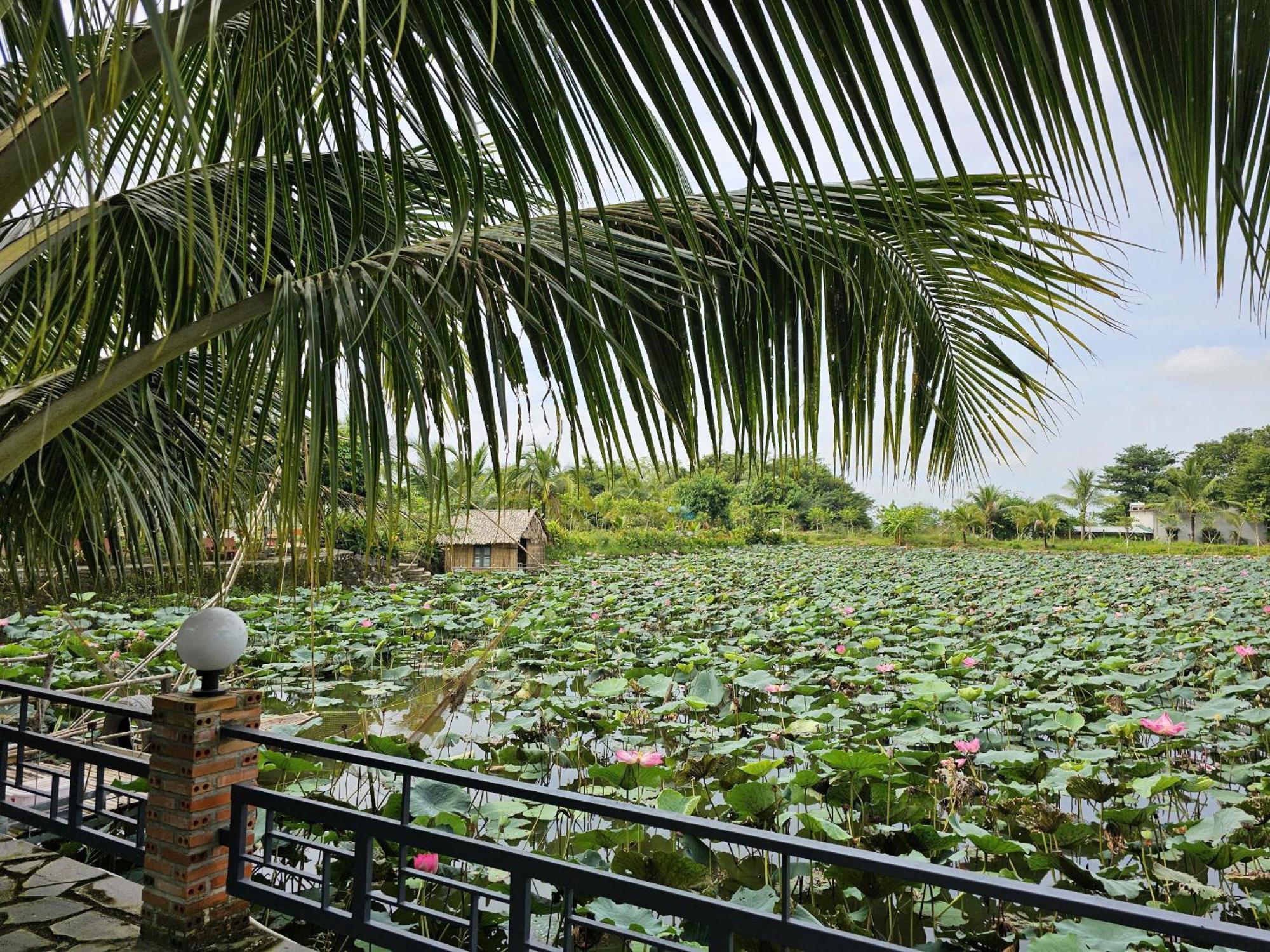 Phu Dien Homestay Cat Tien Exteriör bild